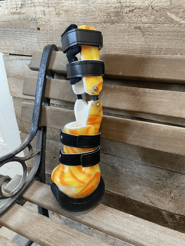 Farm Animal Prosthetic- Partial Limb Horse Prosthetic and Goat Prosthetic -  Starting at $995 - Image 15