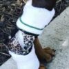 Dog Hock, Tarsus, Achilles Brace - Dog Back Leg Brace - Image 2