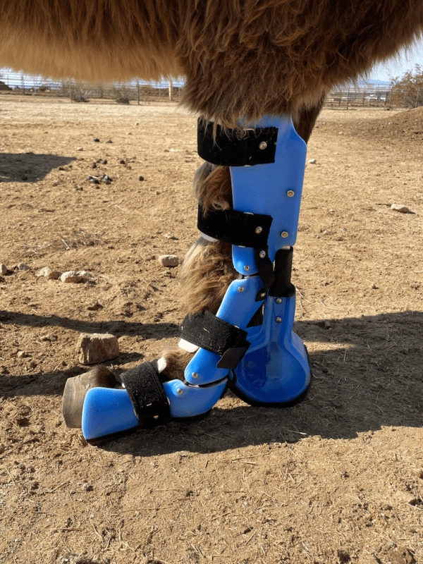 Hybrid Orthotic Prosthetic Device - Starting at $1095 - Image 2