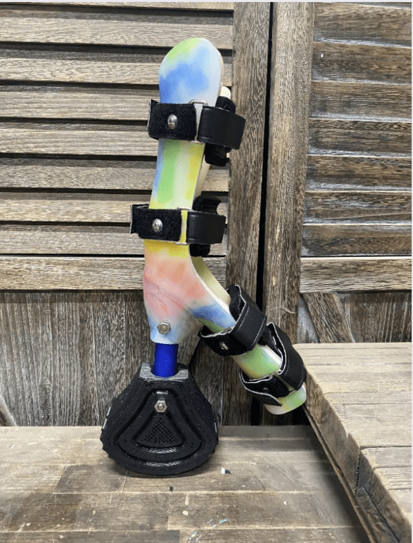 Hybrid Orthotic Prosthetic Device - Starting at $1095 - Image 6